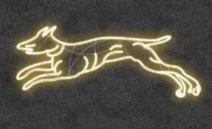 2D LED světelný pes I