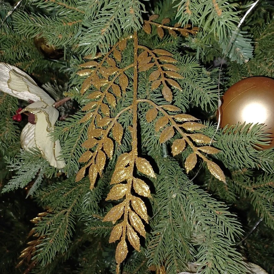18375_K069-2-