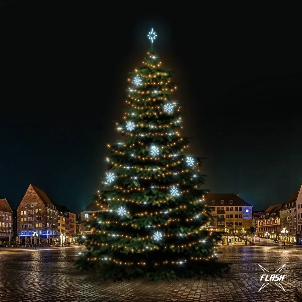 11481_TFS7023A-l