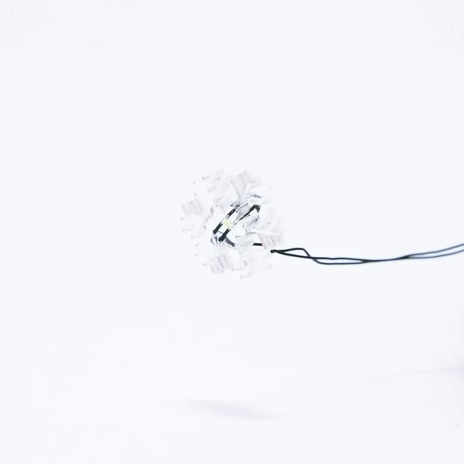 BL56_3_l