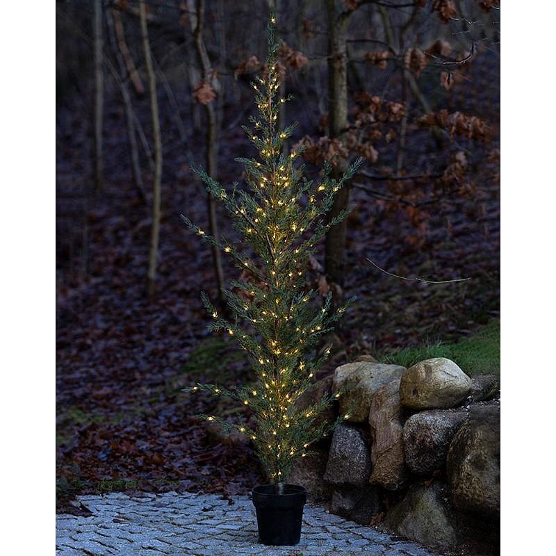 LED-Lichtbaum im Topf Zeder, 190 cm