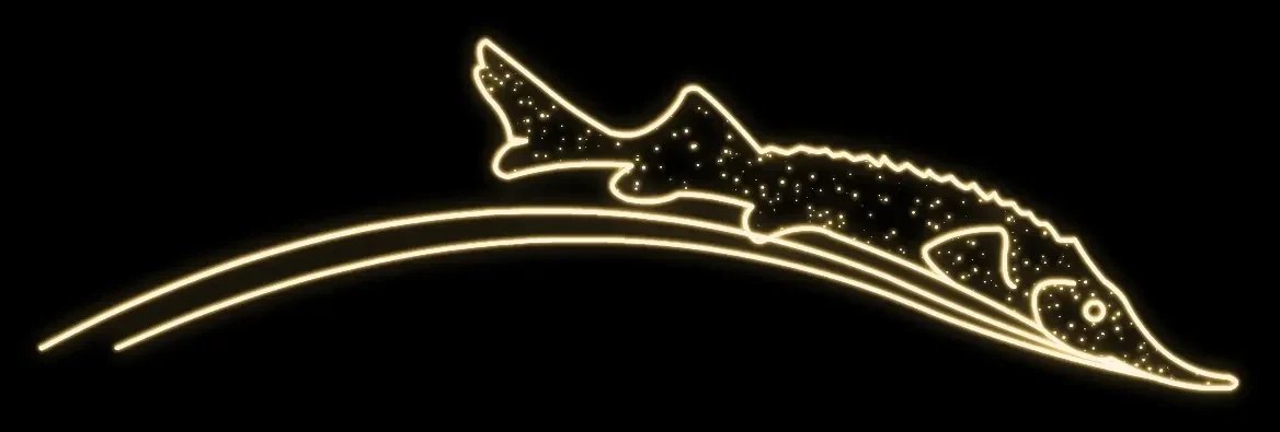 Eco Fix 2D LED Fischleuchte, hängend, 250 × 60 × 3 cm, warmweiß, 3D-Druck, DZX11103WS2