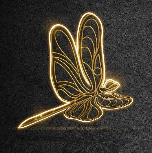 2D-LED-Libellenleuchte, hängend, 100 × 104 × 3 cm, warmweiß