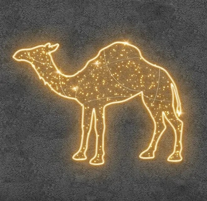 Eco Fix 2D LED-Leuchte Camel, 240 × 175 cm, warmweiß, stehend, 3D-Druck, Aluminium