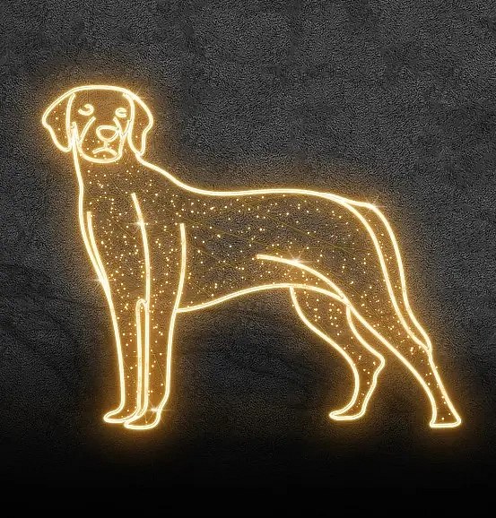 Eco Fix 2D LED-Lichthund, Pointer, hängend, 120 × 100 × 3 cm, warmweiß, hängend, 3D-Druck, gold