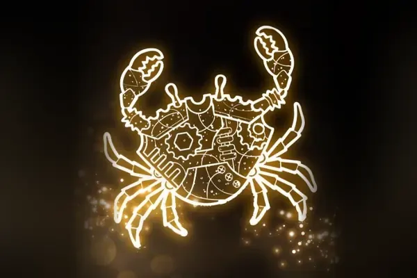 Wildnis der Lichtabenteuer – Lichterpark Szolnok